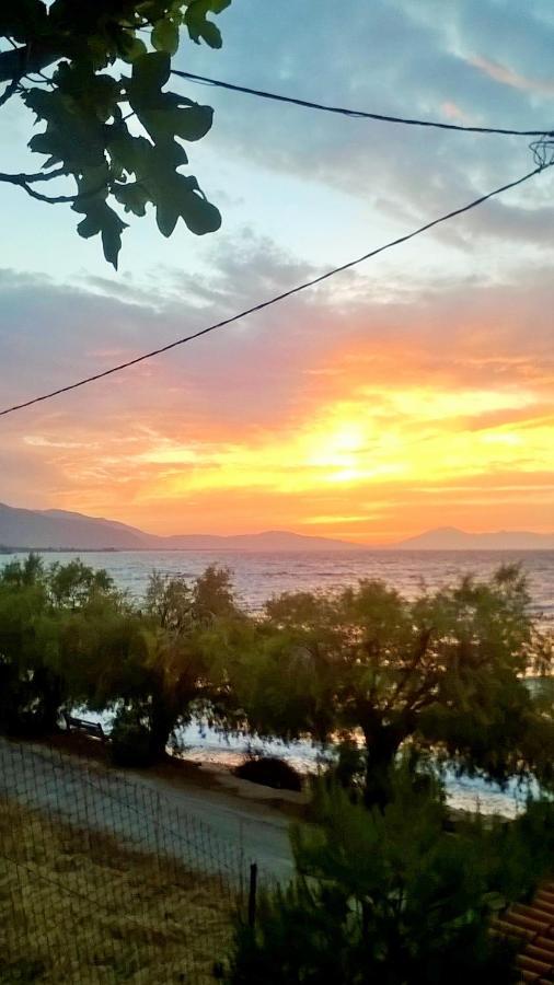 Paralia Platanou Seaview House Экстерьер фото